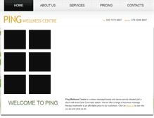 Tablet Screenshot of pingsauna.com